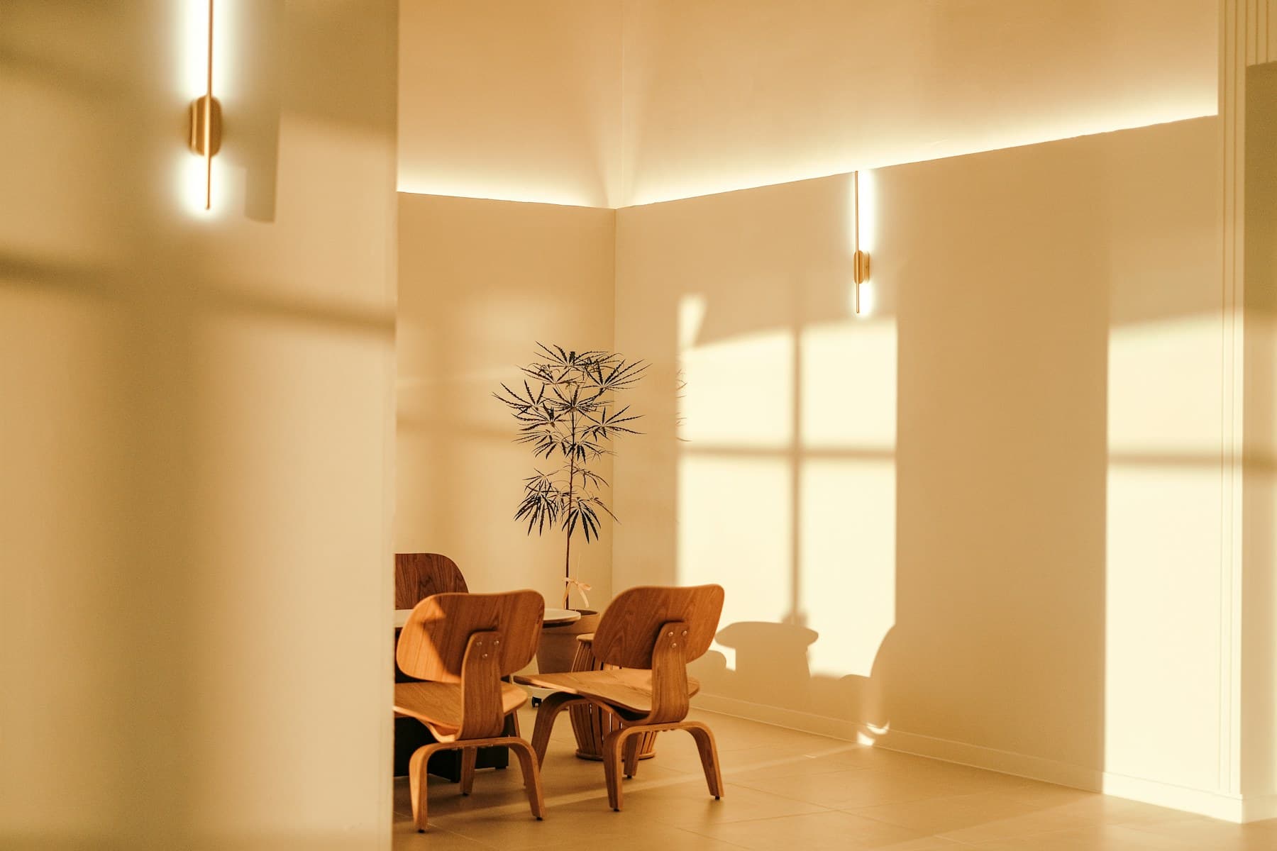 Warm contemporary residential interior
